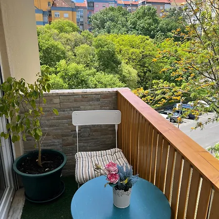 Confortavel Em Partilhado Por Outros Homestay